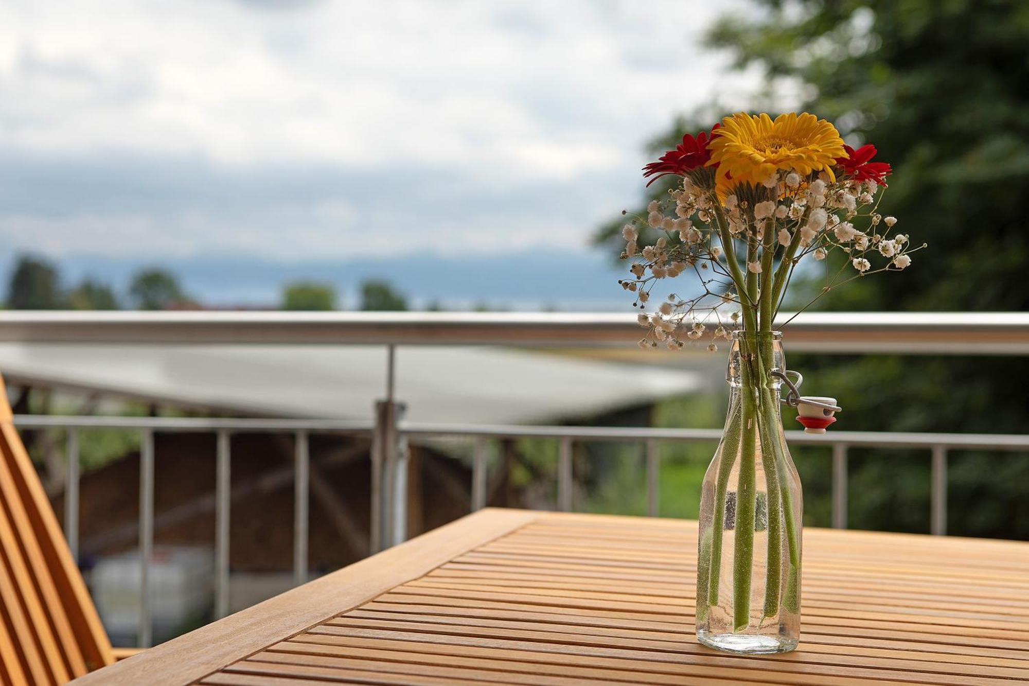 Waldruhe Hof Schuetterle Apartment Friedrichshafen Ngoại thất bức ảnh